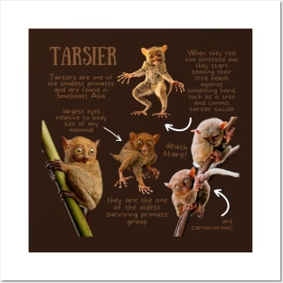 Animal Facts - Tarsier Posters and Art